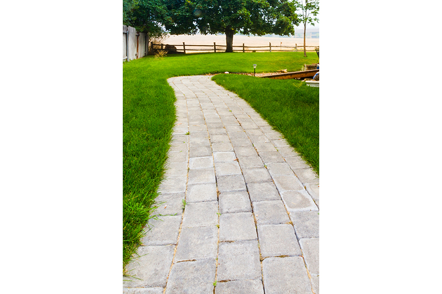 A pathway made of stone blocks leads through a lush lawn to a wooden deck ramp. A large, leafy decidous tree, possibly an oak, is in the background.